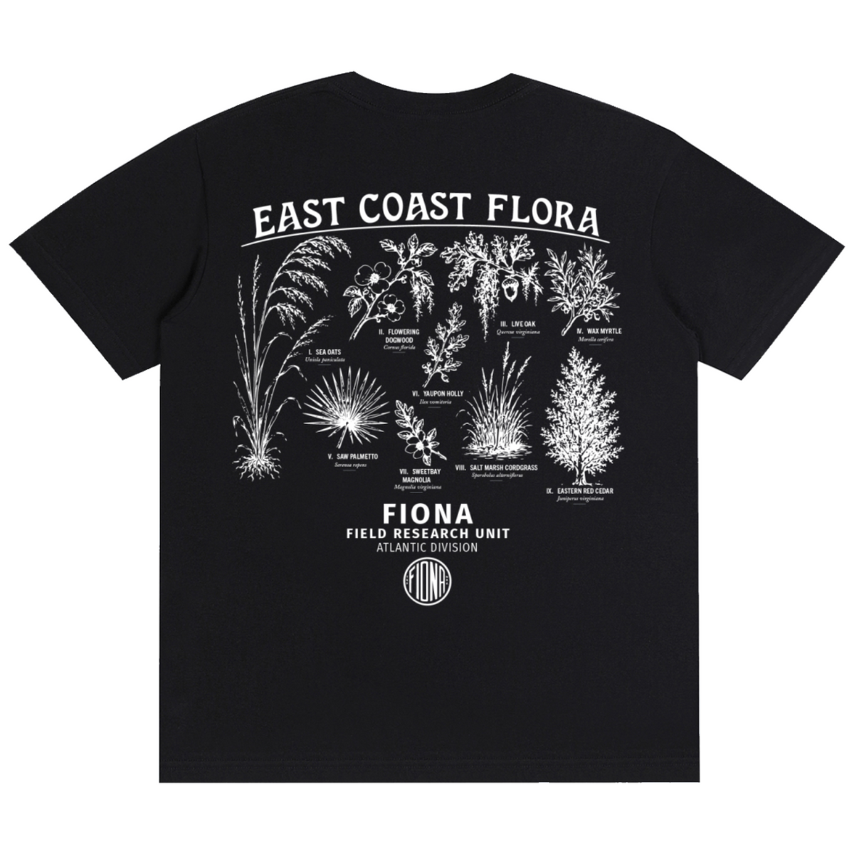 The Field Guide Tee - True Black