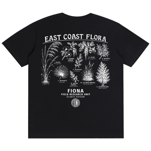 The Field Guide Tee - True Black