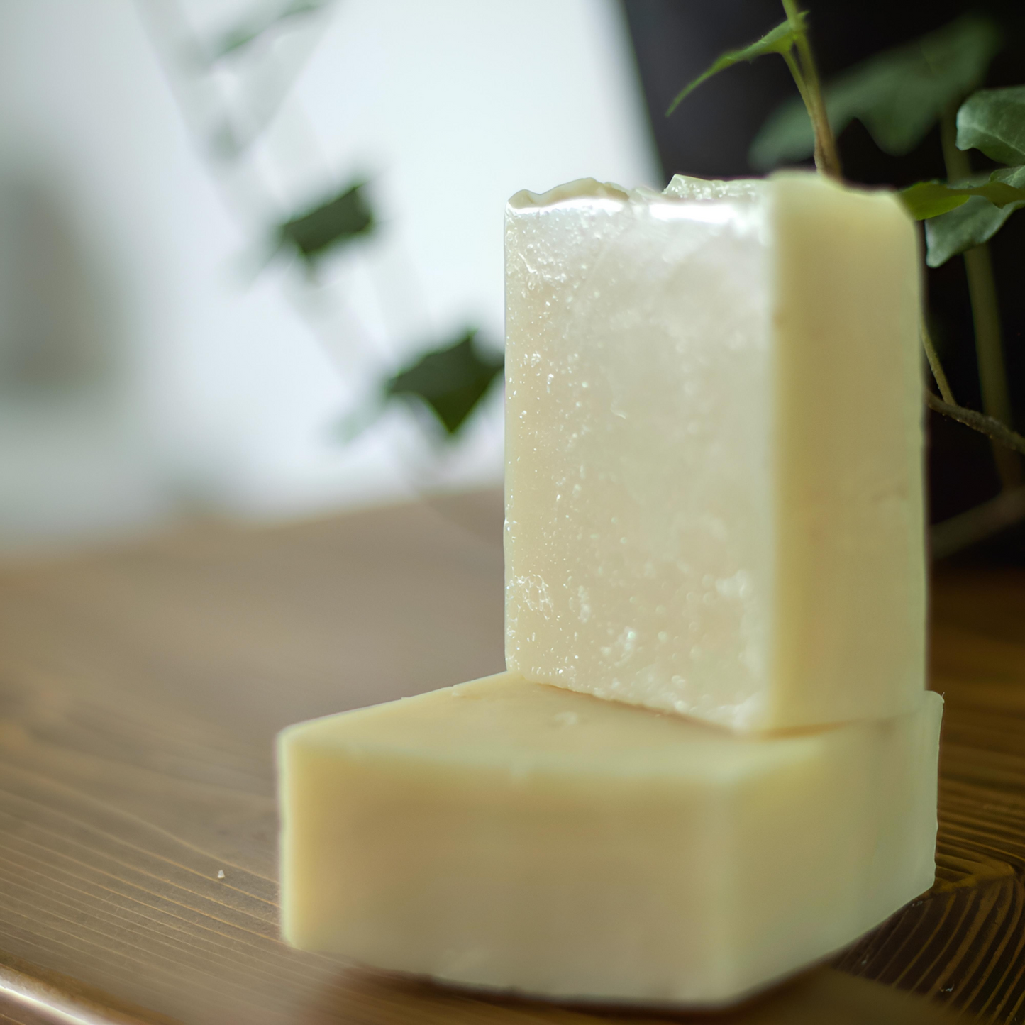Seal Skin All Natural Soap : Dawn Patrol