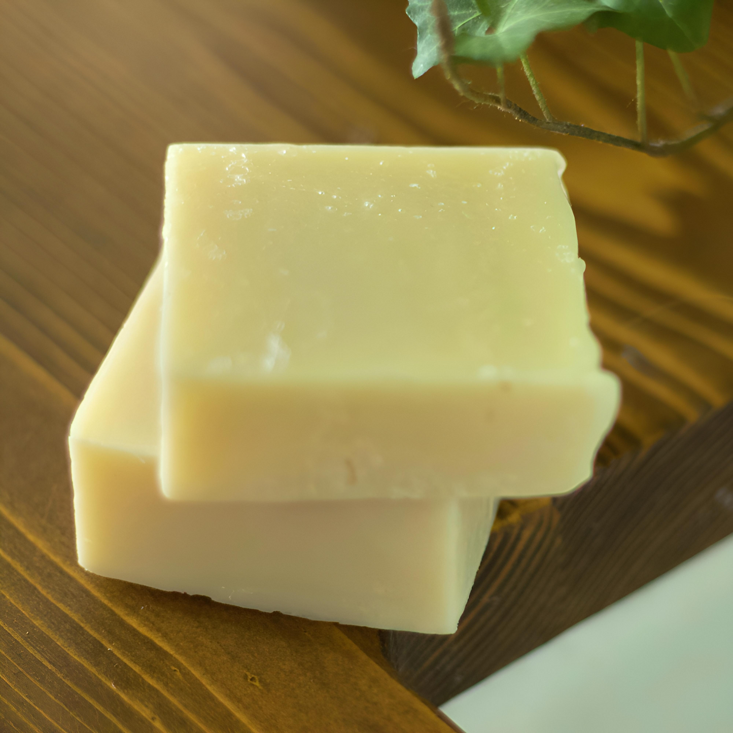 Seal Skin All Natural Soap : Dawn Patrol