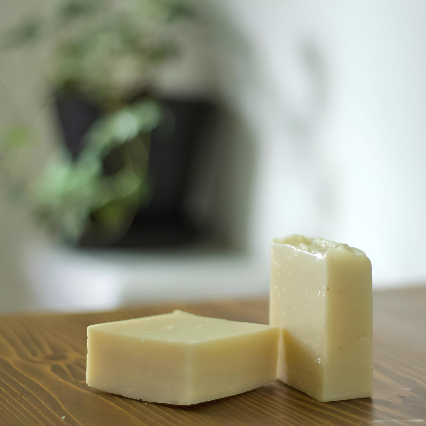 Seal Skin All Natural Soap : Dawn Patrol
